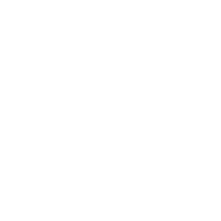 pt-beyaz
