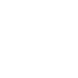 bias