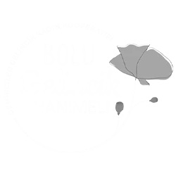 demirciler gelincik